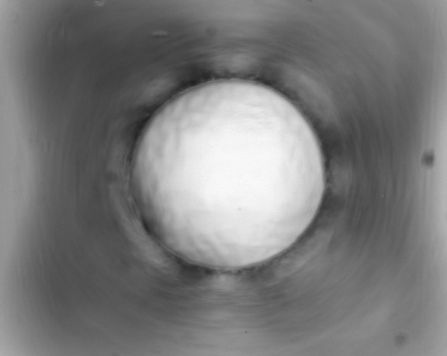 X0000103331297200809192155