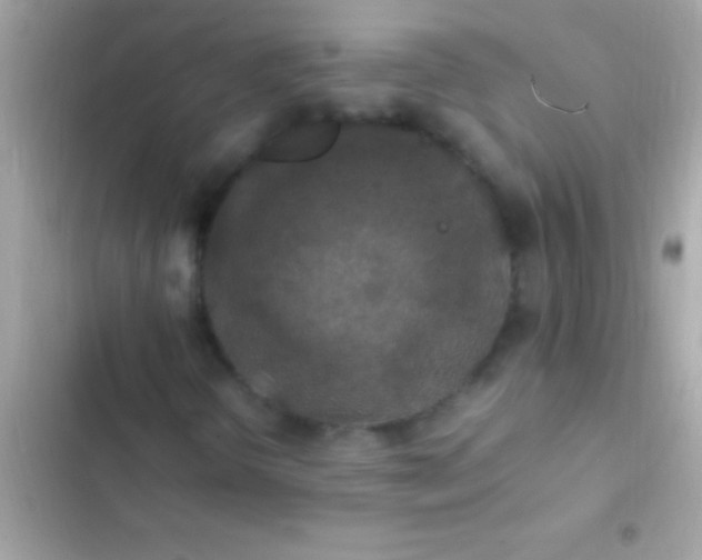 X0000103331298200809192155