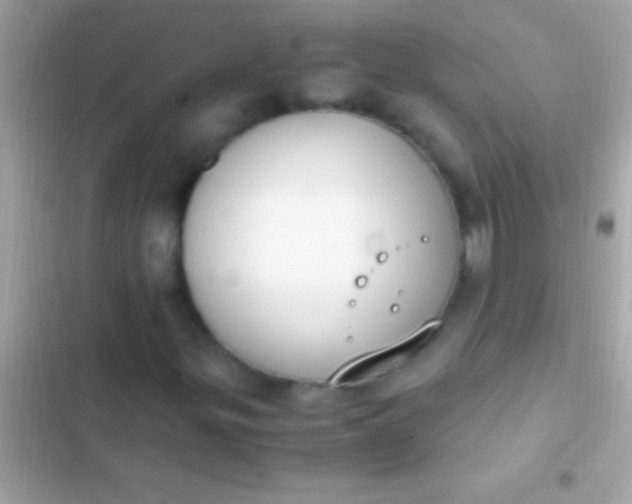 X0000103331299200809192155