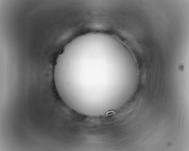 X0000103331301200809192155