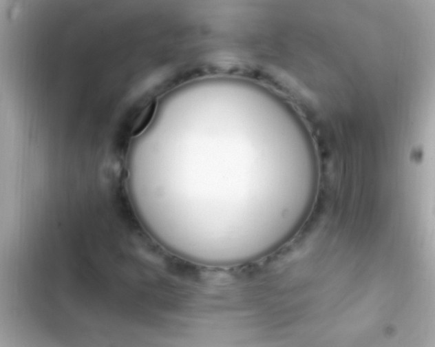 X0000103331302200809192155