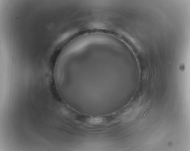 X0000103331303200809192155