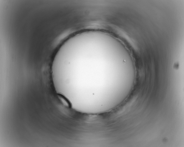 X0000103331304200809192155