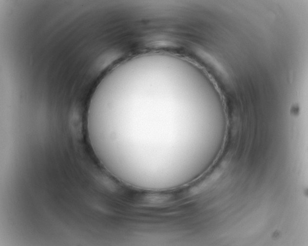 X0000103331305200809192155