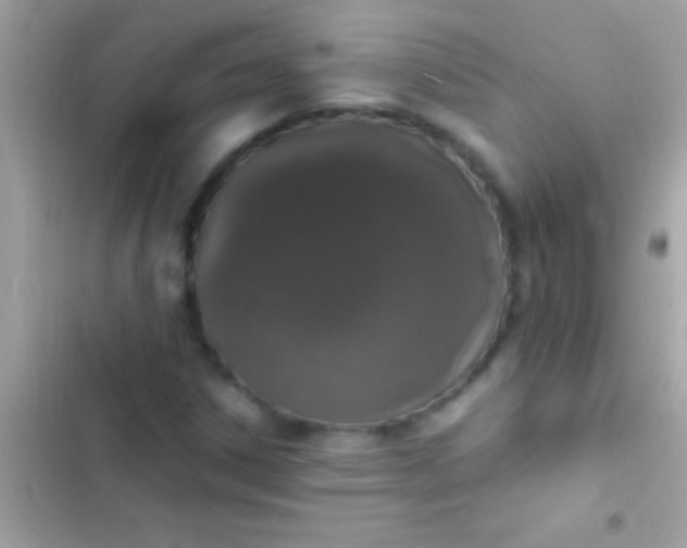 X0000103331306200809192155