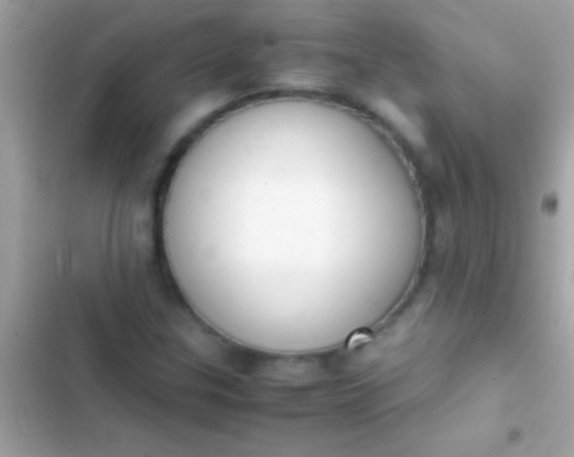 X0000103331307200809192155