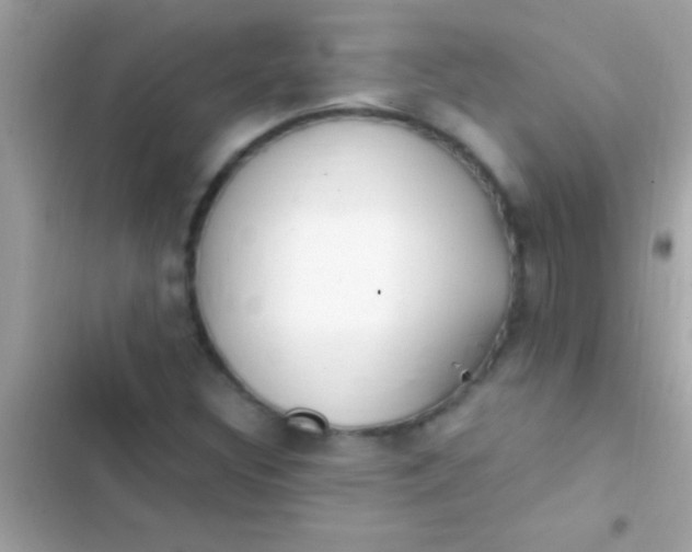 X0000103331308200809192155