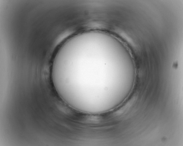 X0000103331309200809192155