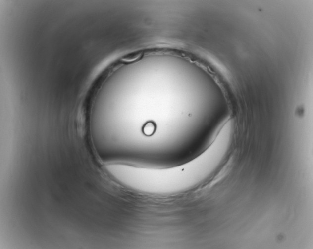 X0000103331310200809192155