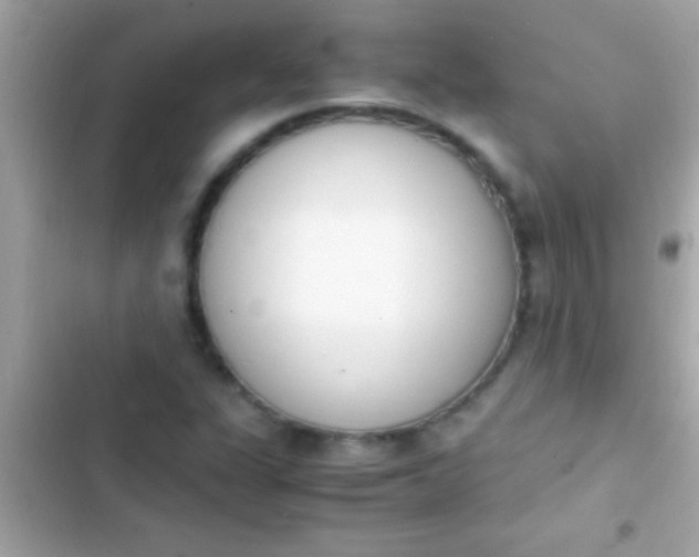 X0000103331311200809192155