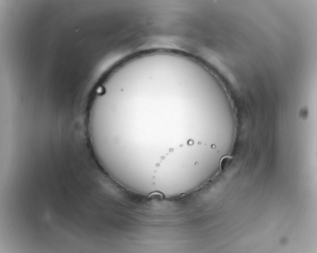 X0000103331312200809192155