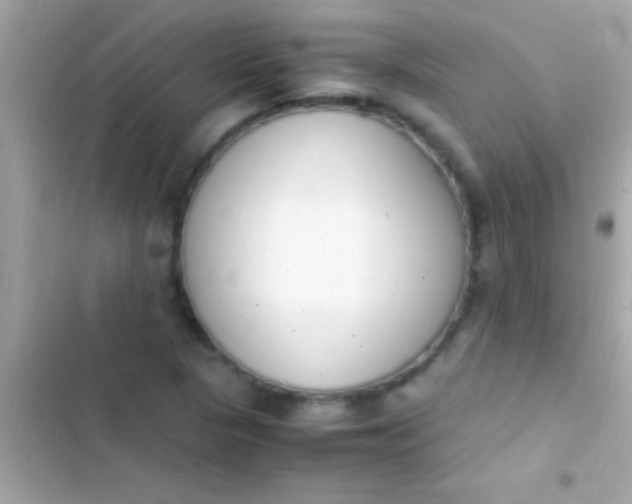 X0000103331313200809192155