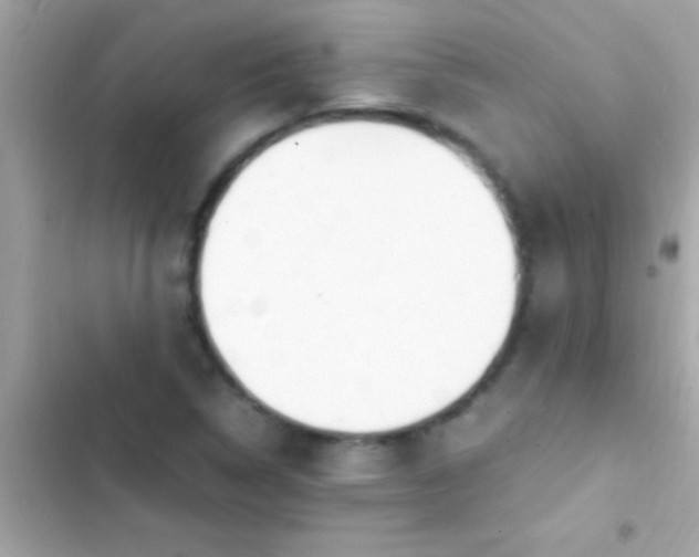 X0000103331314200809192155