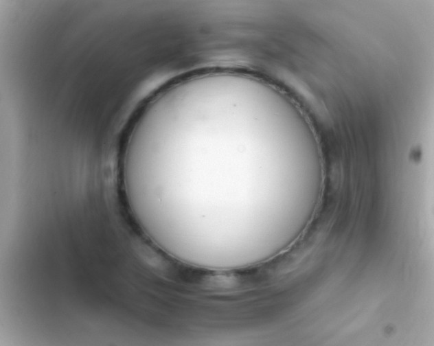 X0000103331315200809192155