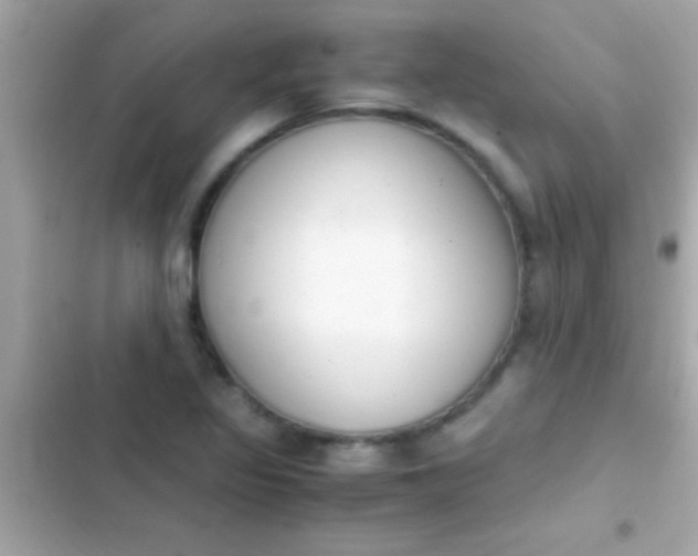 X0000103331317200809192155