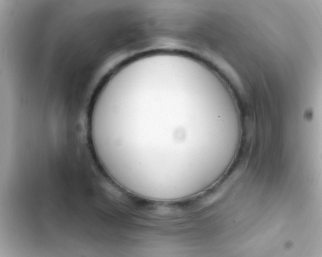 X0000103331318200809192155