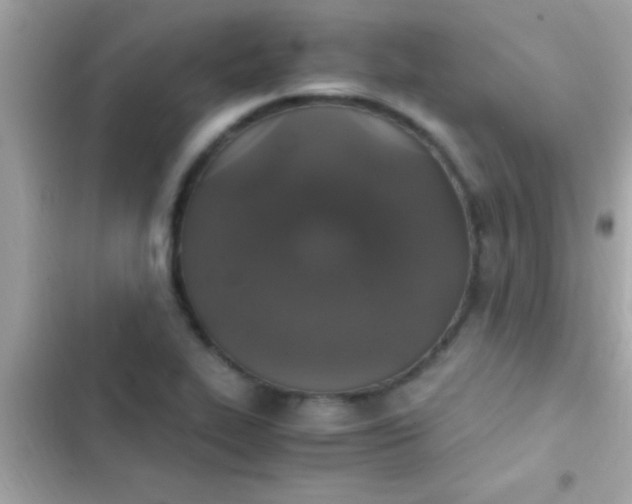 X0000103331319200809192155