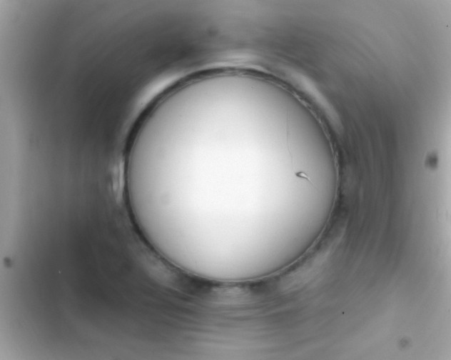 X0000103331320200809192155