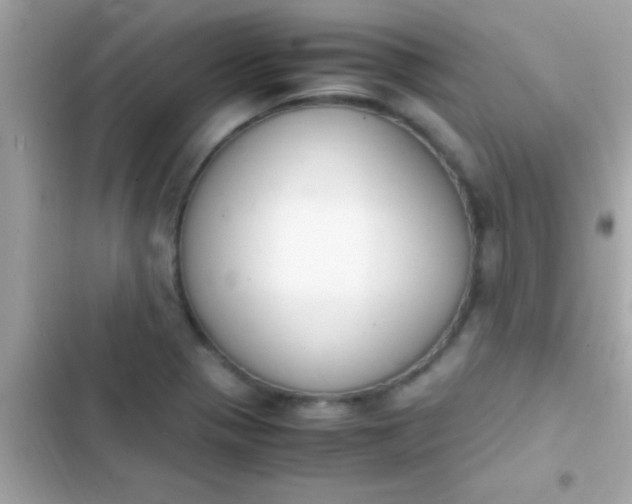 X0000103331321200809192155