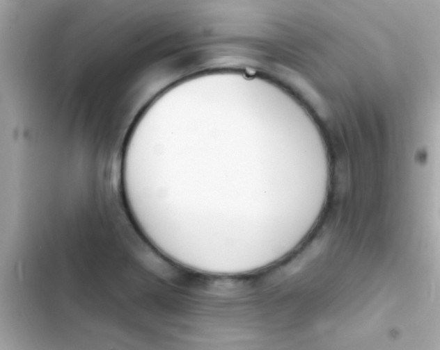 X0000103331322200809192155