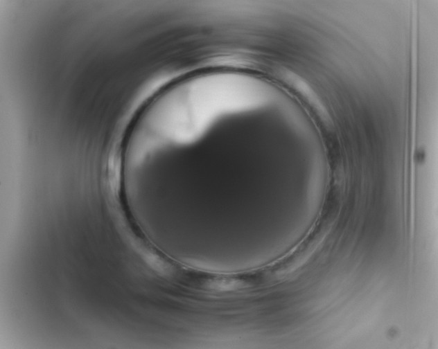 X0000103331323200809192155