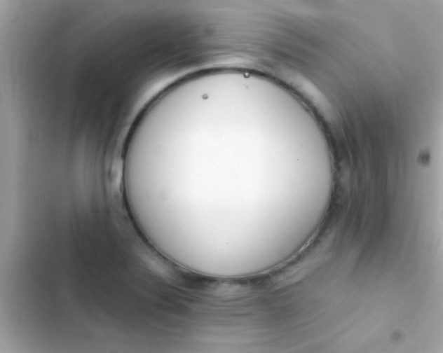 X0000103331324200809192155