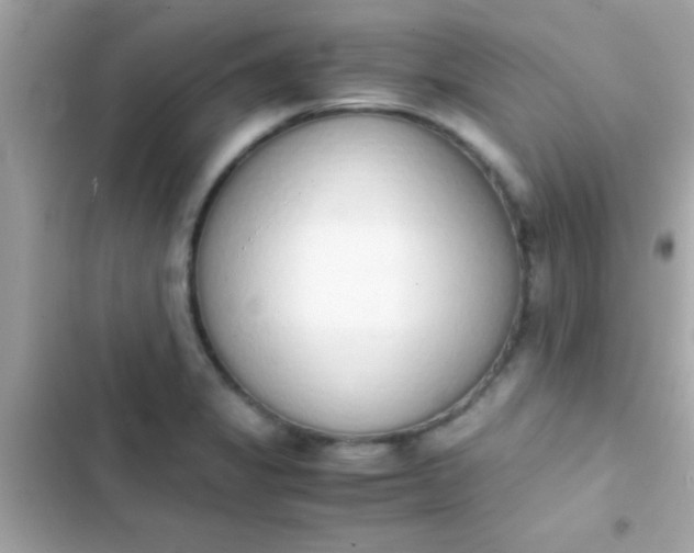 X0000103331325200809192155