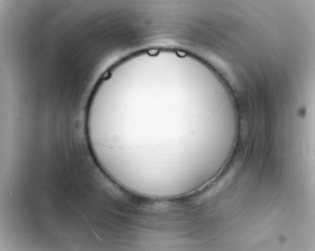 X0000103331326200809192155