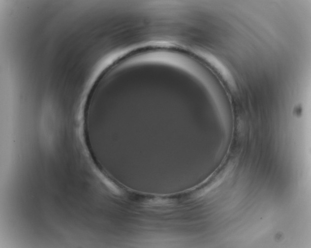 X0000103331327200809192155