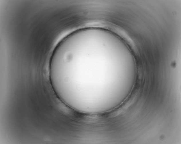 X0000103331328200809192155