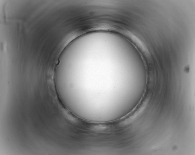 X0000103331329200809192155