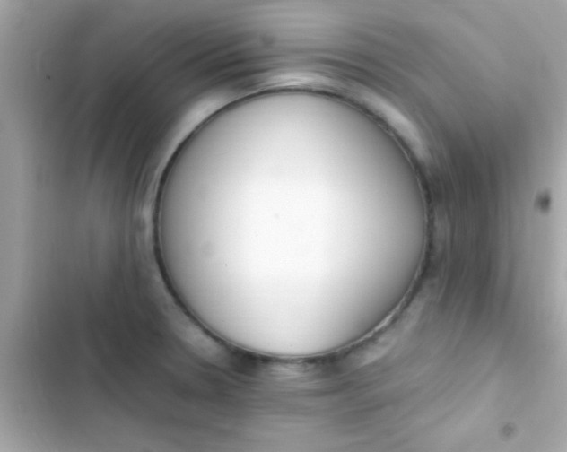 X0000103331330200809192155