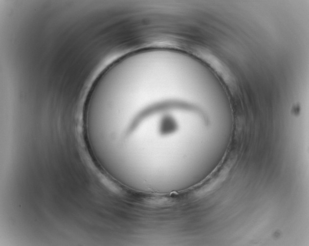 X0000103331331200809192155