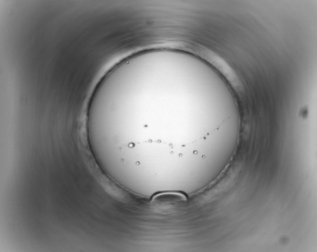 X0000103331332200809192155