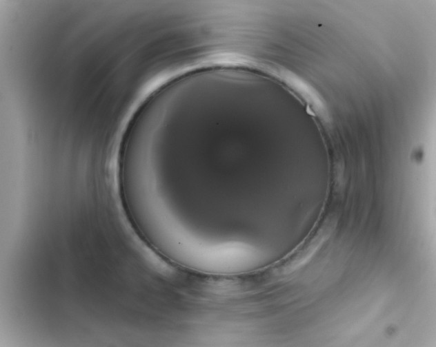 X0000103331334200809192155