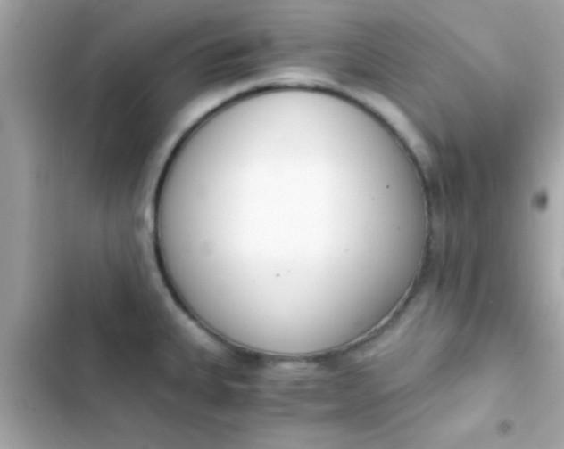 X0000103331335200809192155