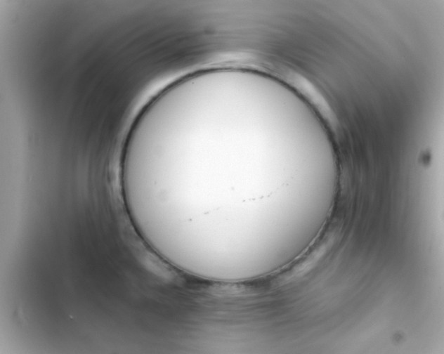 X0000103331336200809192155