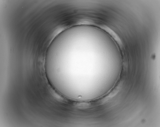 X0000103331337200809192155