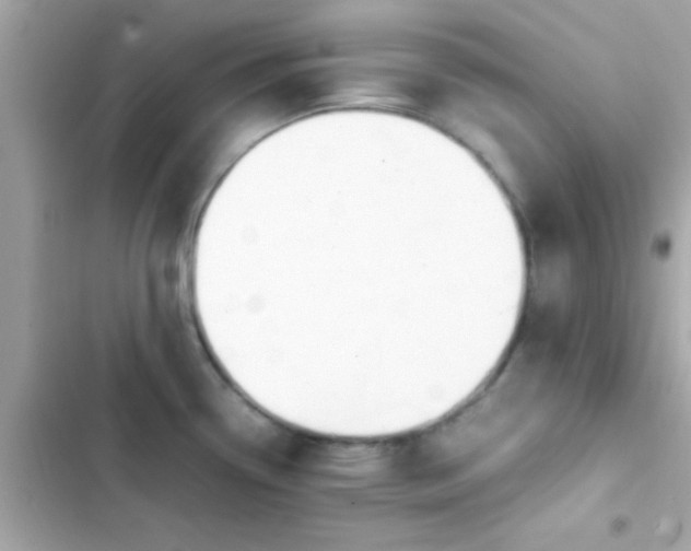 X0000103331338200809192155