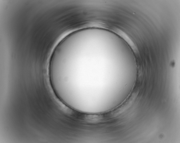 X0000103331339200809192155