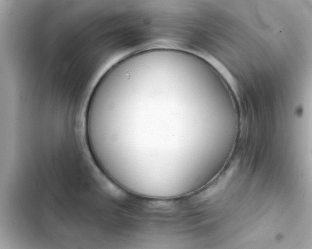 X0000103331341200809192155