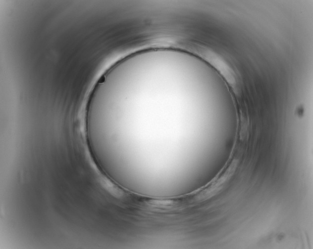 X0000103331342200809192155