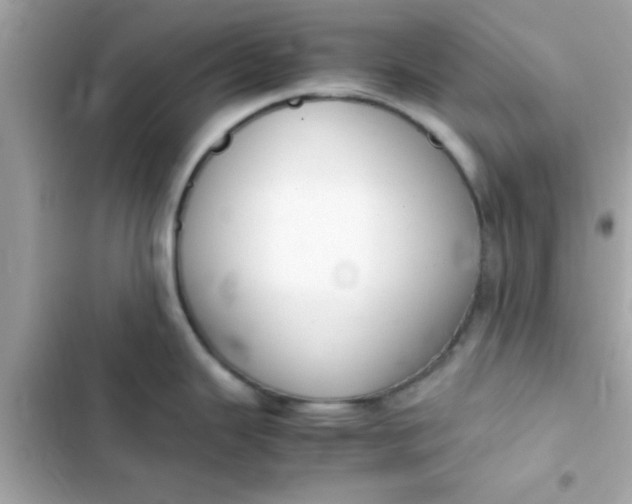 X0000103331343200809192155