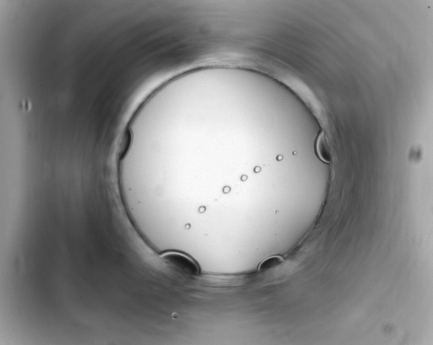 X0000103331344200809192155