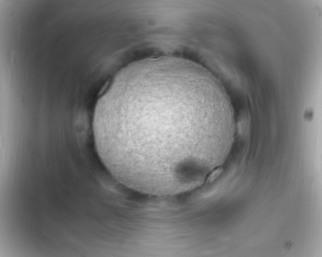 X0000103331347200809192155