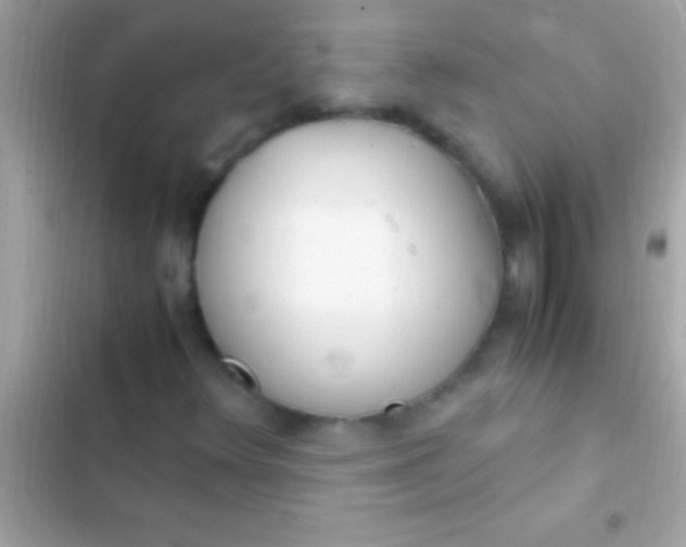 X0000103331348200809192155