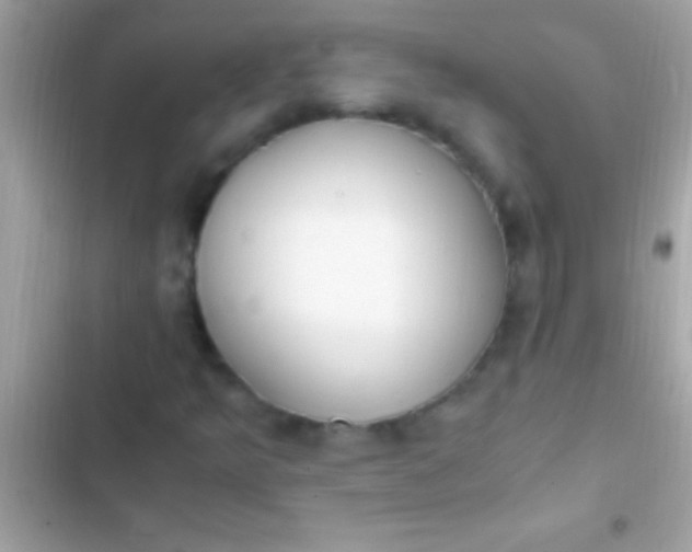 X0000103331349200809192155