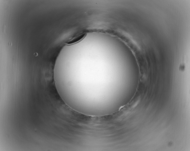 X0000103331350200809192155