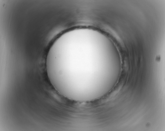 X0000103331352200809192155