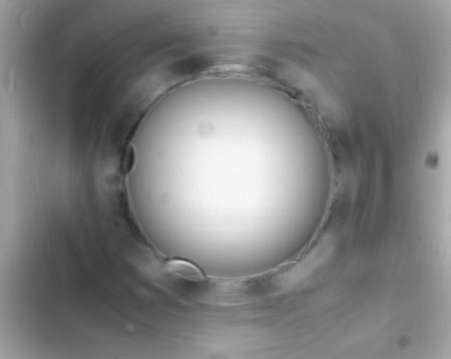 X0000103331353200809192154